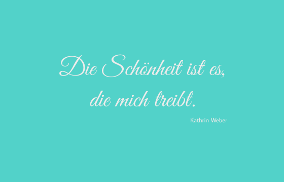 Kathrin Weber, Visitenkarte 2v2