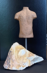 Weber Kathrin, Männertorso 1v